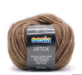 SESIA Artide